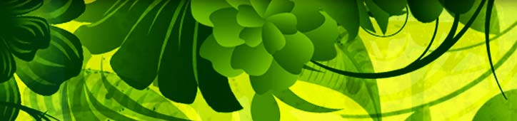 Verschiedene grüne Pflanzenarten zieren einen monotonen Hintergrund. Eine Bildercollage vom Mediengestalter aus Frankfurt am Main für das Corporate Design von patzerDesign, Gestaltung von Print- und Onlinemeiden für Frankfurt und Rhein-Main.