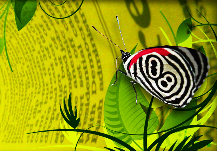 Die Bildercollage ist vom Frankfurter Webdesigner für den webRatgeber erstellt worden. Im Hintergrund des Bildercomposings ist eine gebogene Tageszeitung zu sehen. Sie bildet eine Perspektive, die in die Mitte der Bildercollagen führt. Darüber sind abgesetzte Formen von Pflanzen zu sehen, auf denen ein markanter Schmetterling sitzt.
