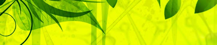 Ein gelber Hintergrund mit organischen Strukturen wirkt dynamisch. Darüber hängen einige grüne Blätter und ergänzen den Hintergrund. Gestaltung und Integration von Bilderanimationen beleben das Design von Websites.