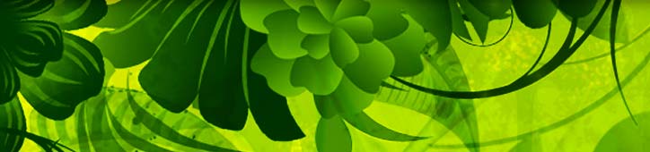 Grüne zierliche Ranken, Blätter und Blumen hängen ins Bild. Die Collage sieht lebendig aus. Jede Pflanze will auffallen. Eine Bildercollage zum Thema professionelle Erstellung von Webdesign in Frankfurt am Main.