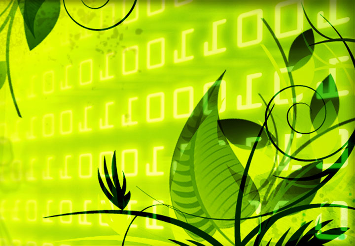 Ein Schmetterling auf grünen Hintergrund mit digitalen Ziffern sitzt auf einem Grashalm. Schmetterling als ein Eyecatcher, wie eine vom Webdesigner schön programmierte Homepage in der digitalen Welt des Internets.